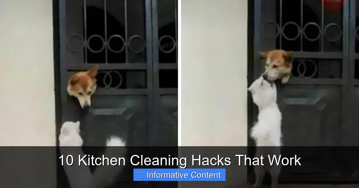 10 Kitchen Cleaning Hacks That Work