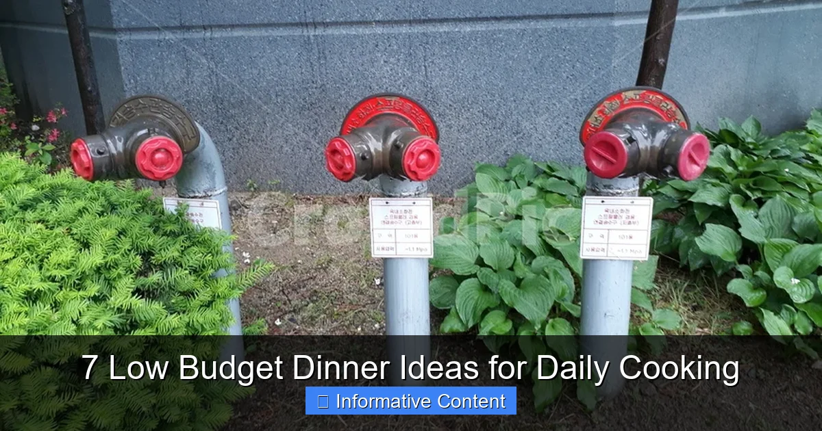 7 Low Budget Dinner Ideas for Daily Cooking
