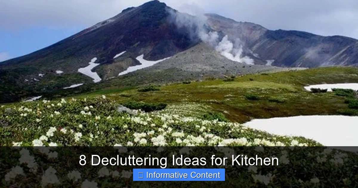 8 Decluttering Ideas for Kitchen